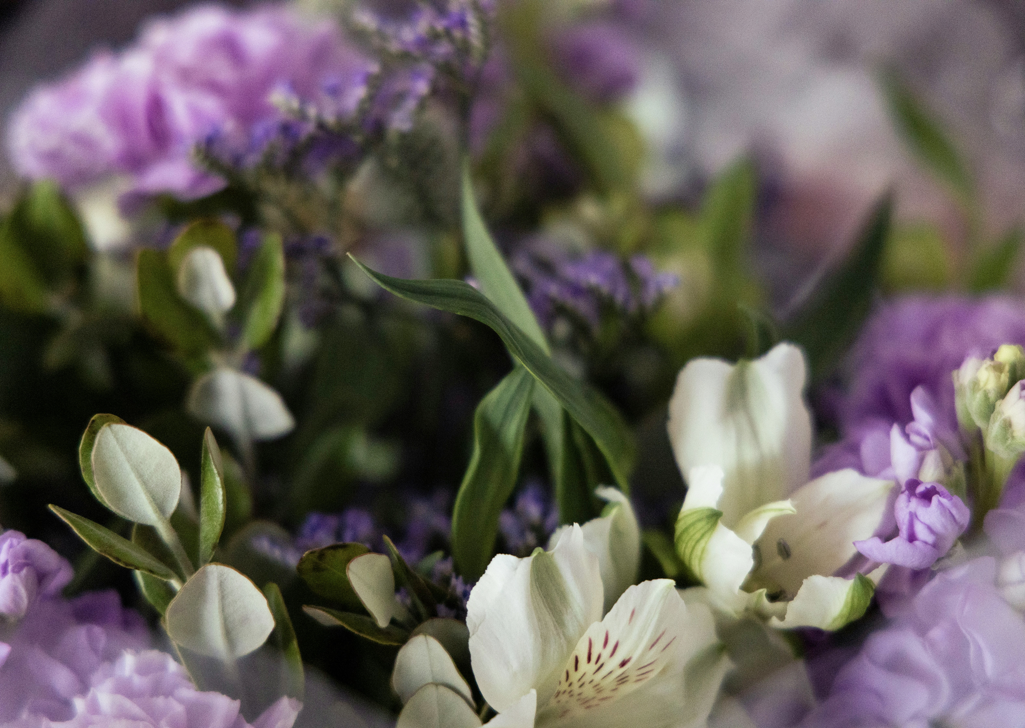 Slideshow Image 1