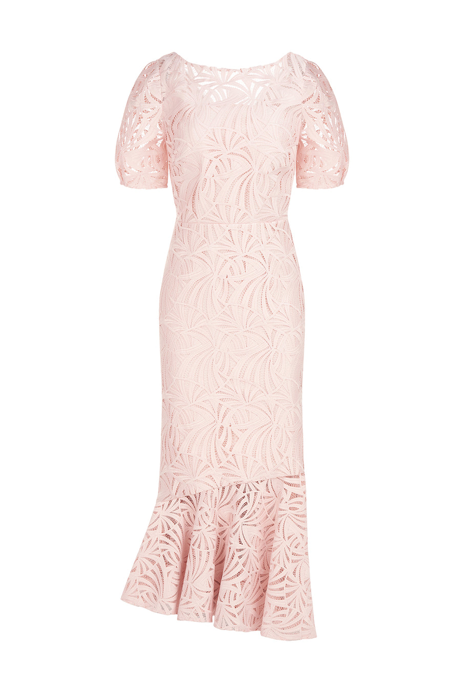 Zoey Lace Tea Length Dress